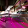 Flexibler LED Stripe RGB, 24V, 5000 mm, 10 mm