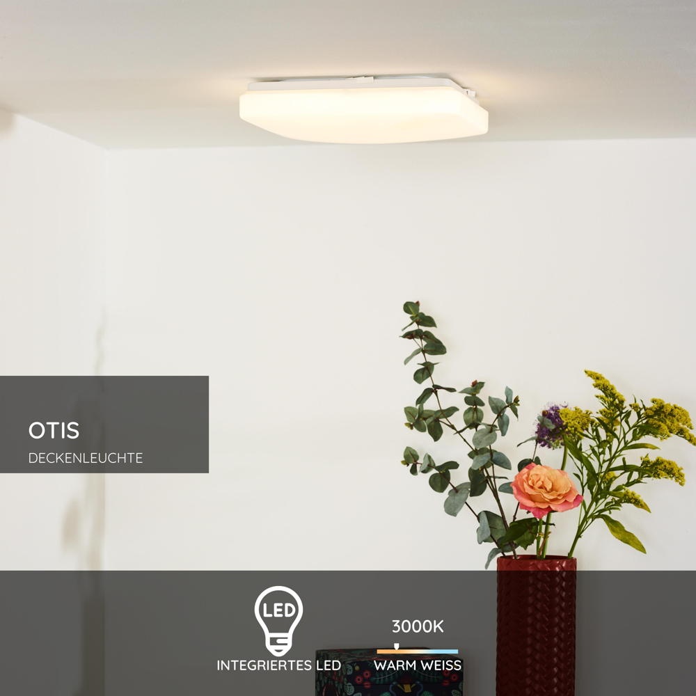 LED Deckenleuchte Otis in weiß, rechteckig, 280x280mm günstig online kaufen