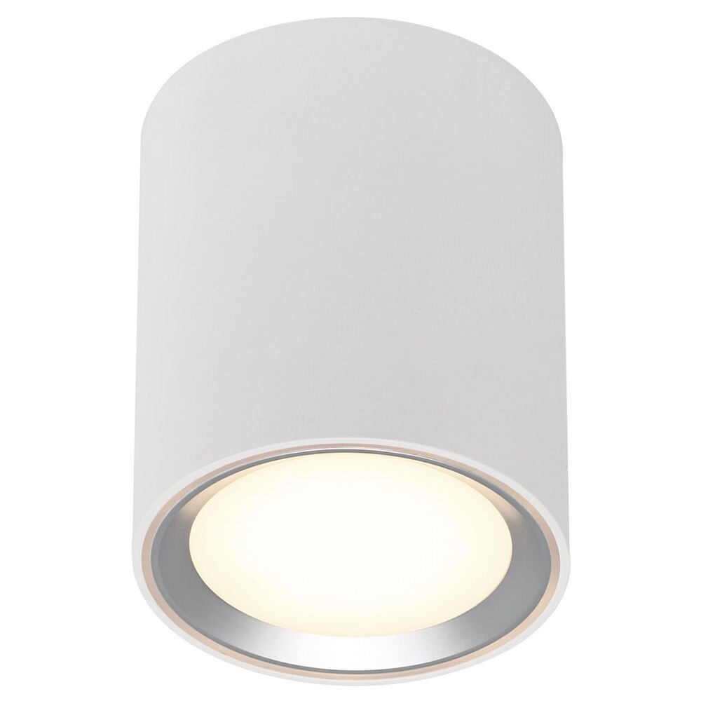 LED Aufbauleuchte Fallon long weiß Ring in Stahl-gebürstet 120 mm
