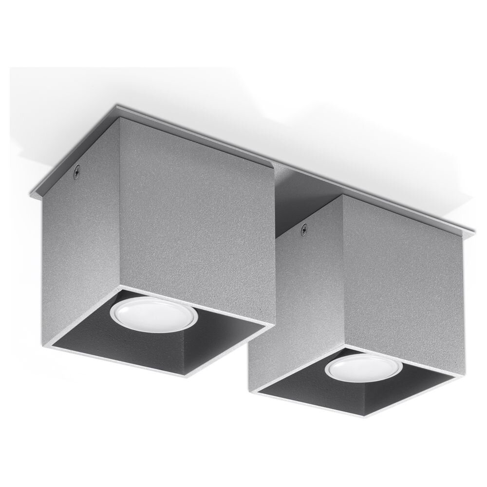 famlights | Deckenleuchte Alicia aus Aluminium in Grau GU10 2 x 40 W günstig online kaufen