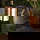 Philips Hue White & Color Ambiance Impress - Wegeleuchte, schwarz 400mm