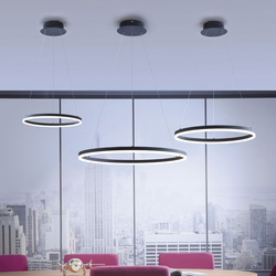 LED Pendelleuchte Titus in Anthrazit
