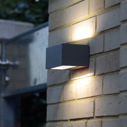 LED Außenwandleuchte Gemini in Anthrazit Up- And...