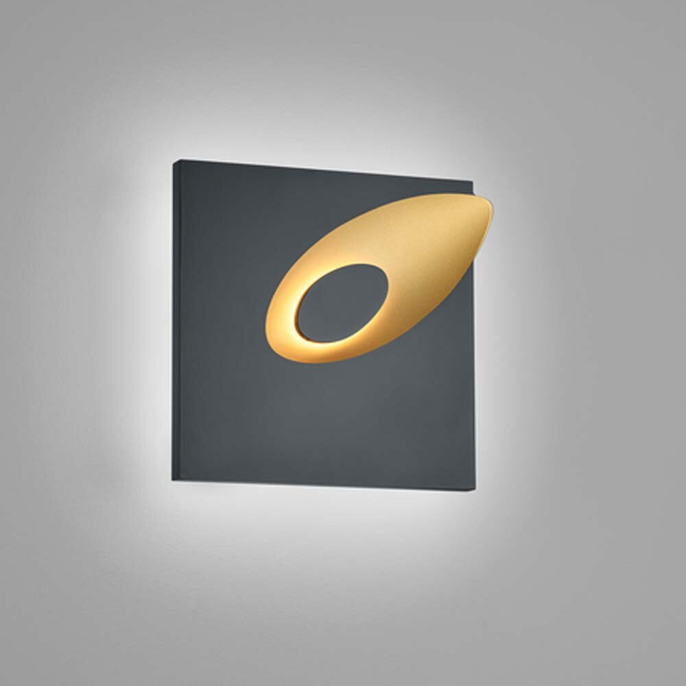 LED Wandleuchte Tail in Schwarz und Gold 10W 530lm
