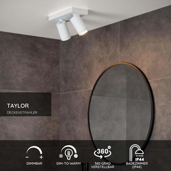 LED Deckenstrahler Taylor in Weiß 2x5W 640lm IP44...