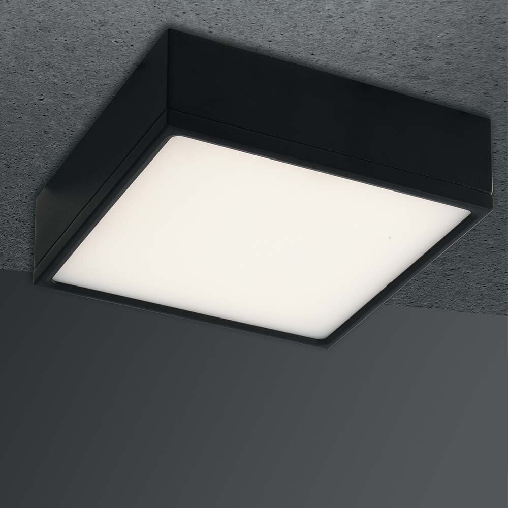 LED Deckenleuchte Klio in Schwarz 22W 2000lm IP20 167x167mm