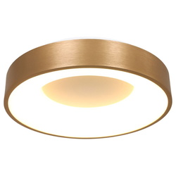 LED Deckenleuchte Ringlede
