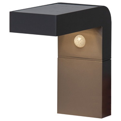 LED Solar Wandleuchte Vici in Schwarz IP44