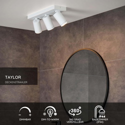 LED Deckenstrahler Taylor in Weiß 3x5W 960lm IP44...
