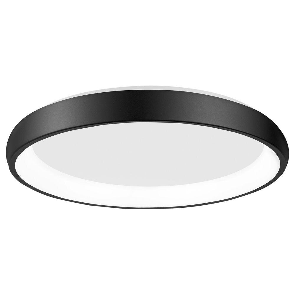 LED Deckenleuchten Albi in Schwarz 50W 2750lm günstig online kaufen