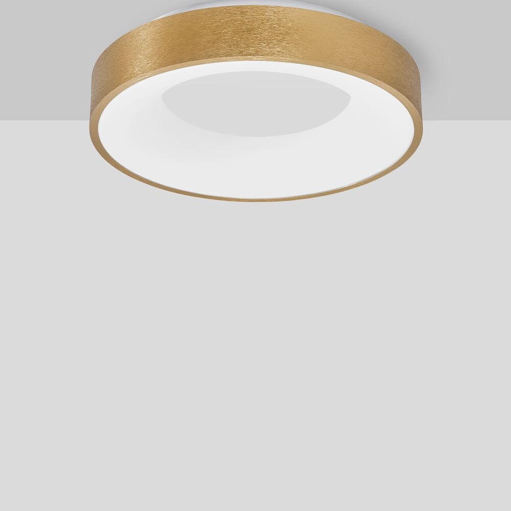 LED Deckenleuchten Rando Thin in Gold-gebürstet 30W 1950lm günstig online kaufen