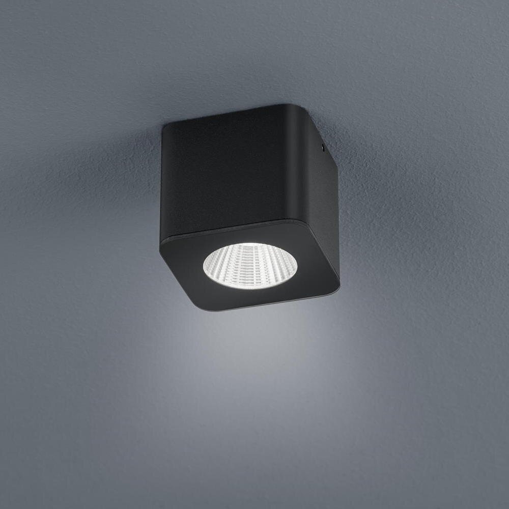 LED Deckenspot Oso in Schwarz-matt 7,5W 370lm IP44