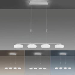 LED Pendelleuchte Q-Etienne in Silber 5x8,8W 2650lm