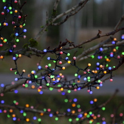 LED Lichterkette RGBW Berry Mini in Schwarz und...