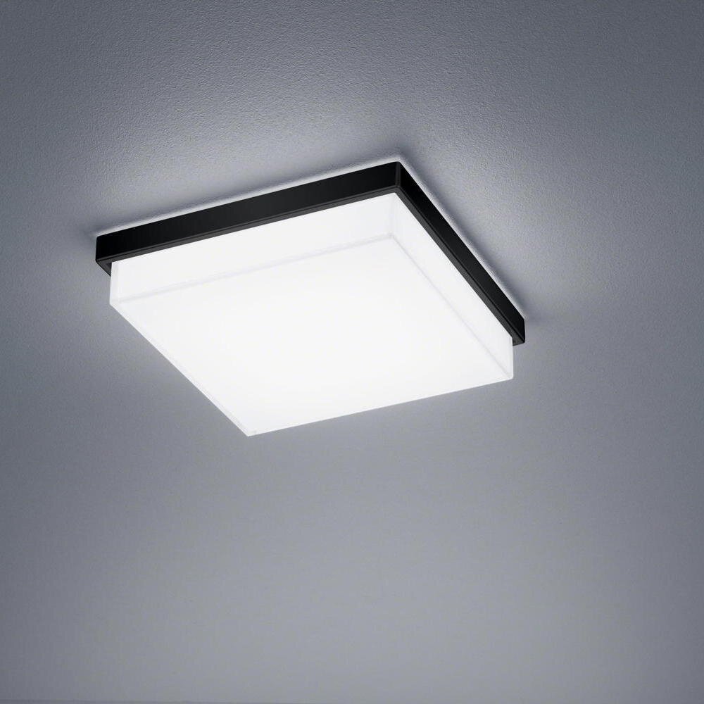 LED Deckenleuchte Cosi in Schwarz-matt 12W 1020lm