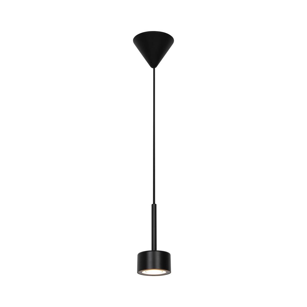 LED Pendelleuchte Clyde in Schwarz 5W 350lm