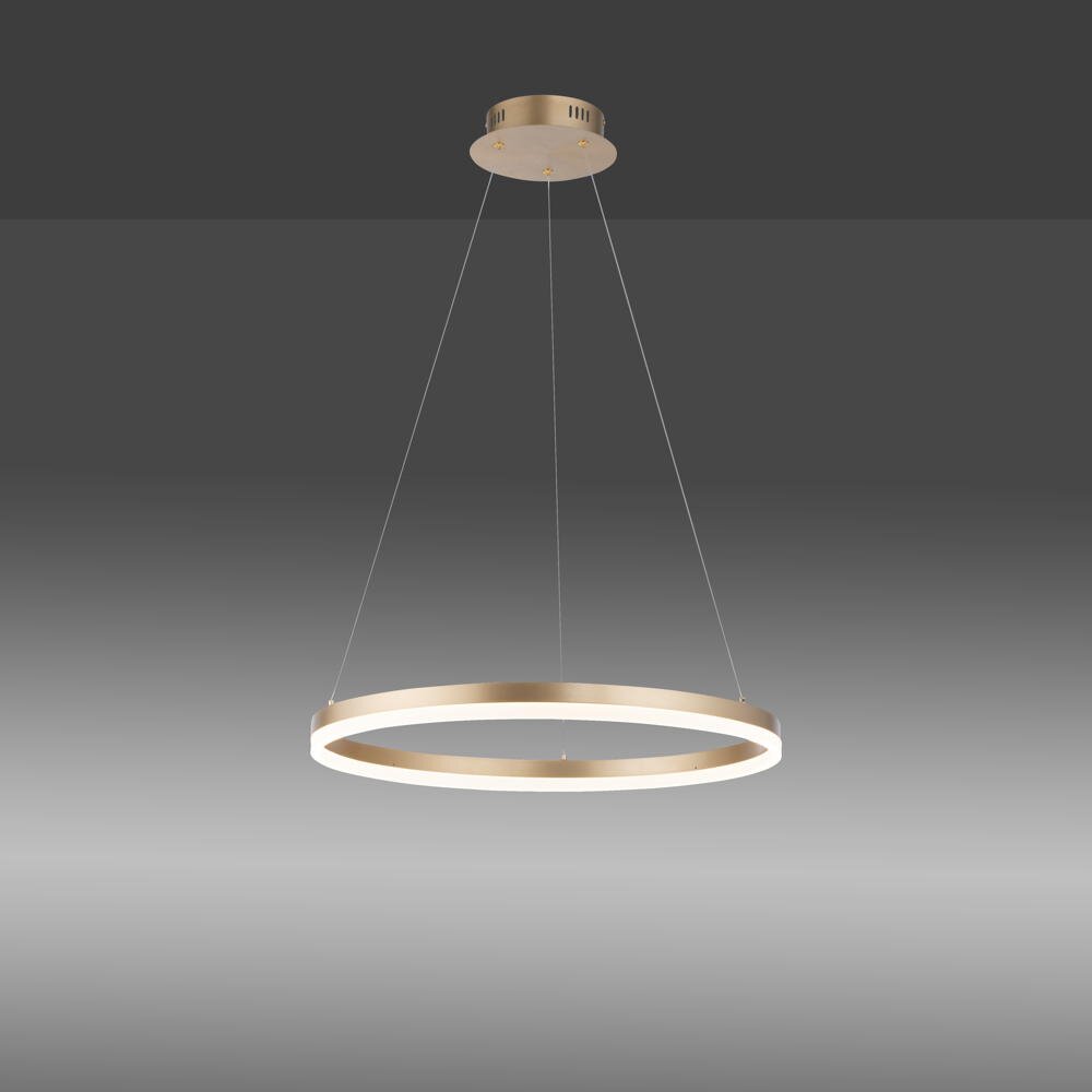 Paul Neuhaus LED-Hängelampe Titus, Ø 60 cm, messing, dimmbar günstig online kaufen