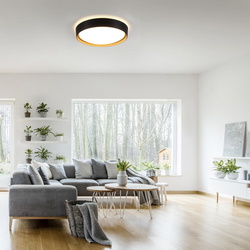 LED Deckenleuchte Emilia in Schwarz 29W 3400lm
