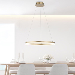 LED Pendelleuchte Titus in Gold