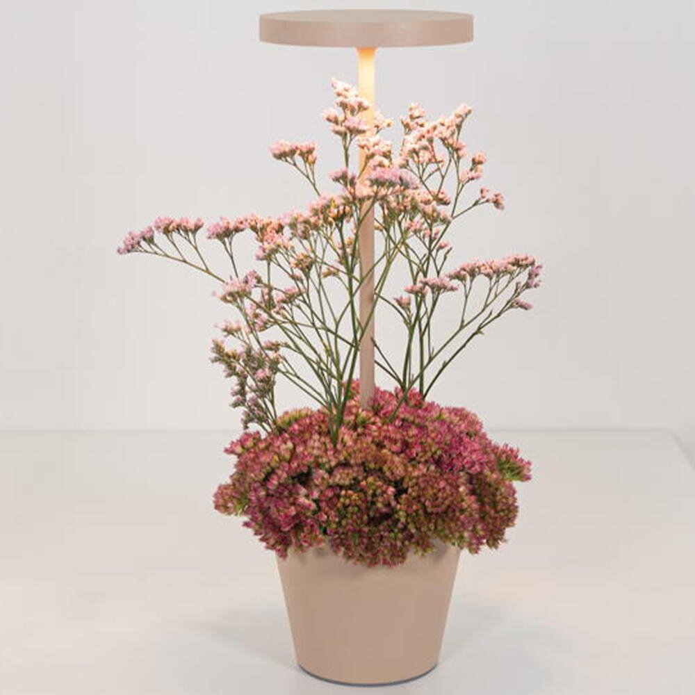 LED Akku Tischleuchte Poldina Reservo in Beige 2,3W 262lm IP54 günstig online kaufen