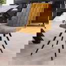 RINGO-Living Samt Stuhl Sunil in Gold und Schwarz-matt