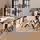 RINGO-Living Samt Stuhl Keona in Champagner und Silber-matt
