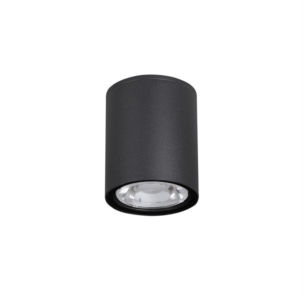 LED Deckenaufbauspot Ceci in Schwarz-matt 6W 520lm IP65