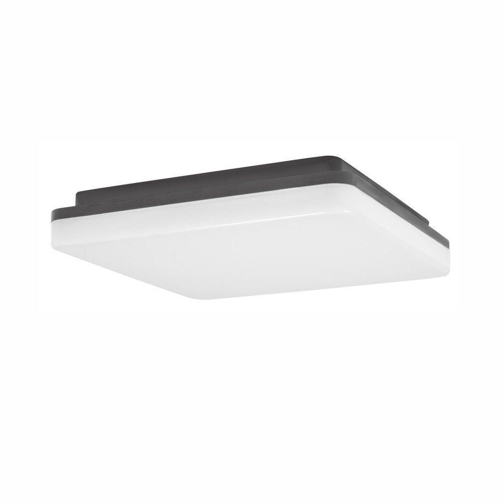 LED Deckenleuchte Tommy in Dunkelgrau 24W 1920lm IP54