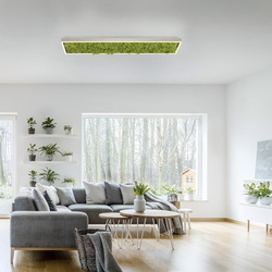 LED Deckenleuchte Green Knut in Moos und Natur-dunkel 25W...