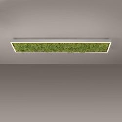 LED Deckenleuchte Green Knut in Moos und Natur-dunkel 25W...