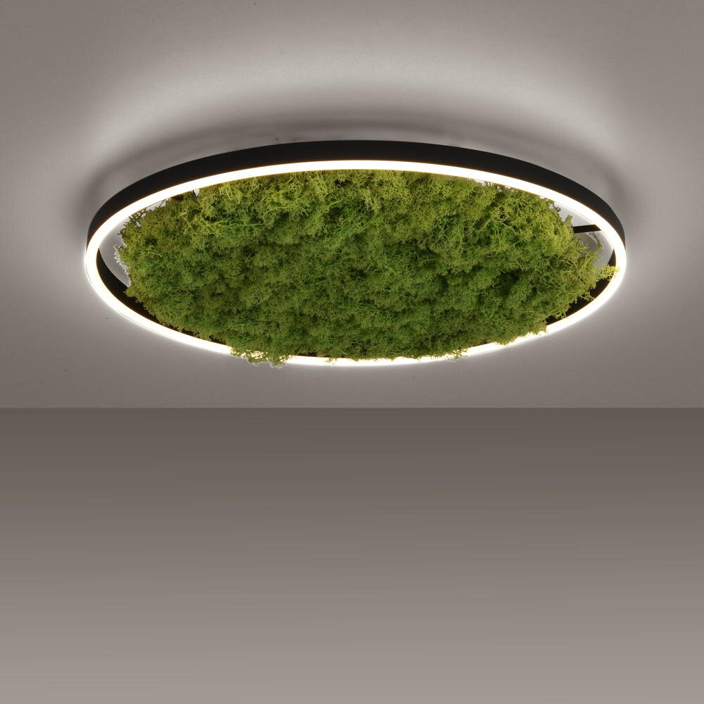 LED Deckenleuchte Green Ritus in Moos 28W 3650lm 585mm