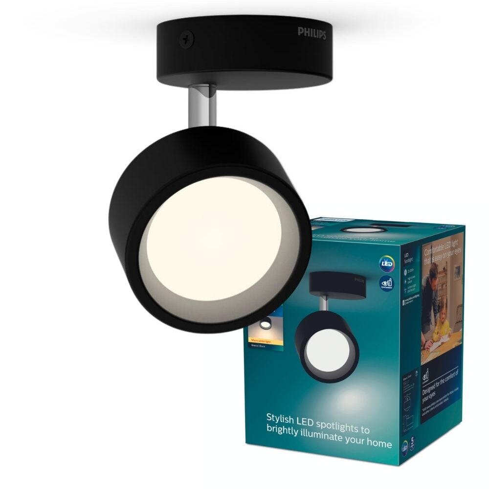 LED Deckenspot Bracia in Schwarz 5,5W 550lm