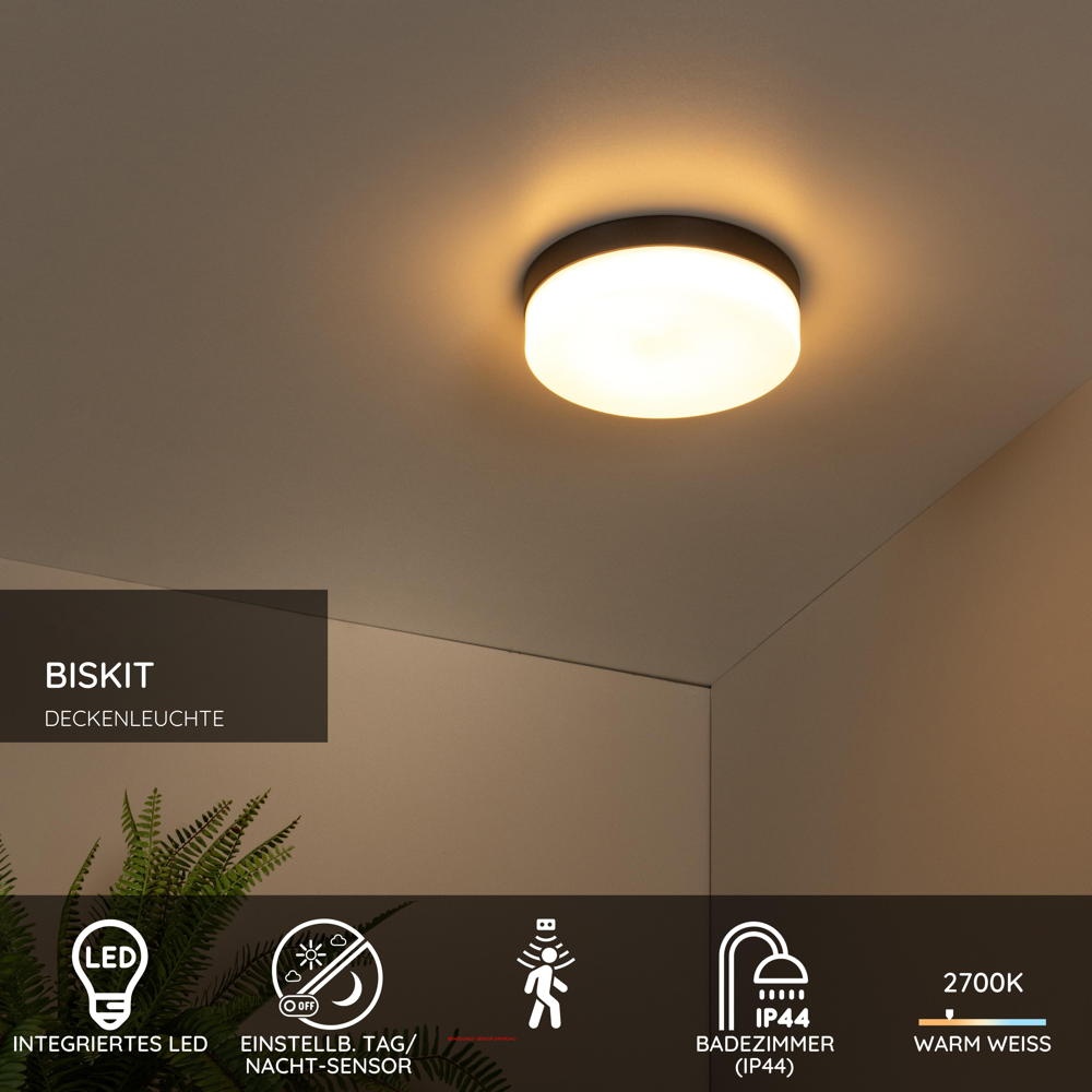 LED Deckenleuchte Biskit in Schwarz 18W 1150lm IP44 280mm günstig online kaufen