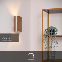 Wandleuchte Ovalis in Messing-matt E14 2-flammig