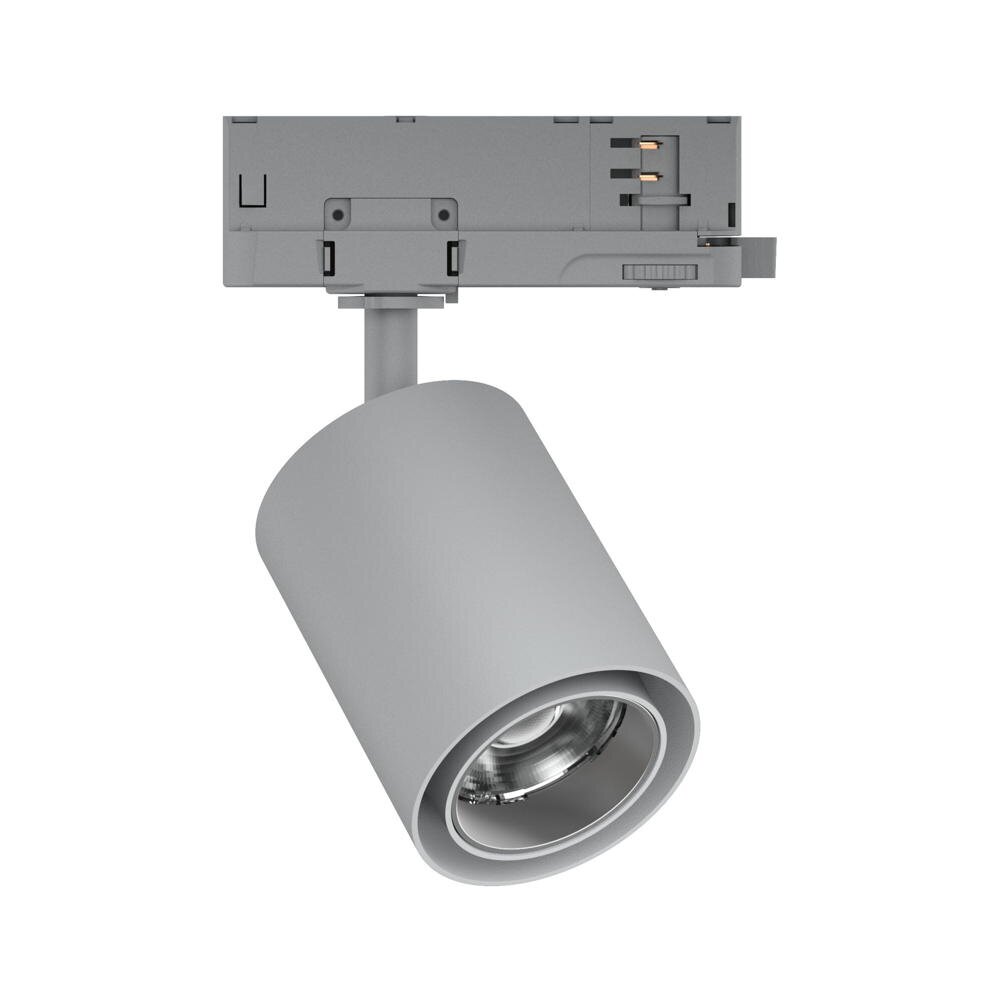 Paulmann ProRail3 Kratos Wohnzimmer Schlafzimmer Flur LED modern Silber Metall 1-flammig