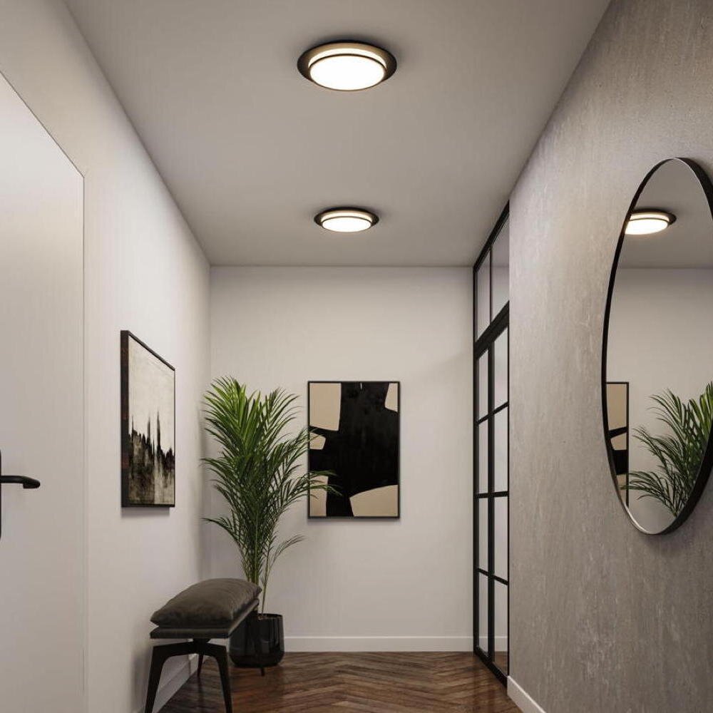 LED Deckenleuchte Egron in Schwarz-matt 16W 750lm günstig online kaufen