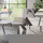 RINGO-Living Esszimmerstuhl Cassius aus Polyester