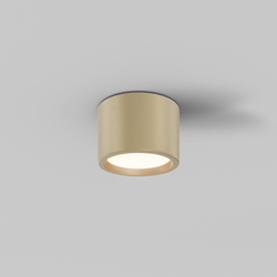 LED Deckenleuchte Hydra in Gold-matt 10W 650lm IP44