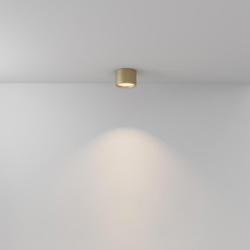 LED Deckenleuchte Hydra in Gold-matt 10W 650lm IP44