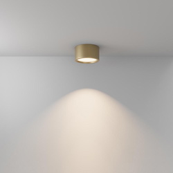 LED Deckenleuchte Hydra in Gold-matt 15W 1270lm IP44