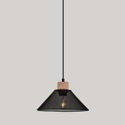 Pendelleuchte Ian in Schwarz E27 260mm