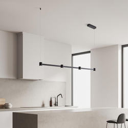 LED Pendelleuchte Puize in Schwarz