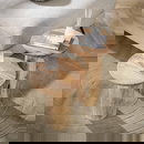 RINGO-Living Beistelltisch Fibi aus Akazienholz in Natur-hell 500mm