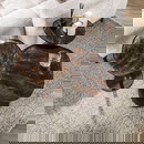 RINGO-Living Beistelltisch Kahiau aus Glas in Kupfer-antik 500mm