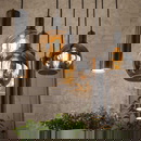 famlights | Pendelleuchte Christof in Schwarz E27 7-flammig