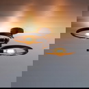 famlights | Deckenleuchte Ares in Schwarz E27 2-flammig