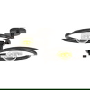 famlights | Deckenleuchte Ares in Schwarz E27 2-flammig